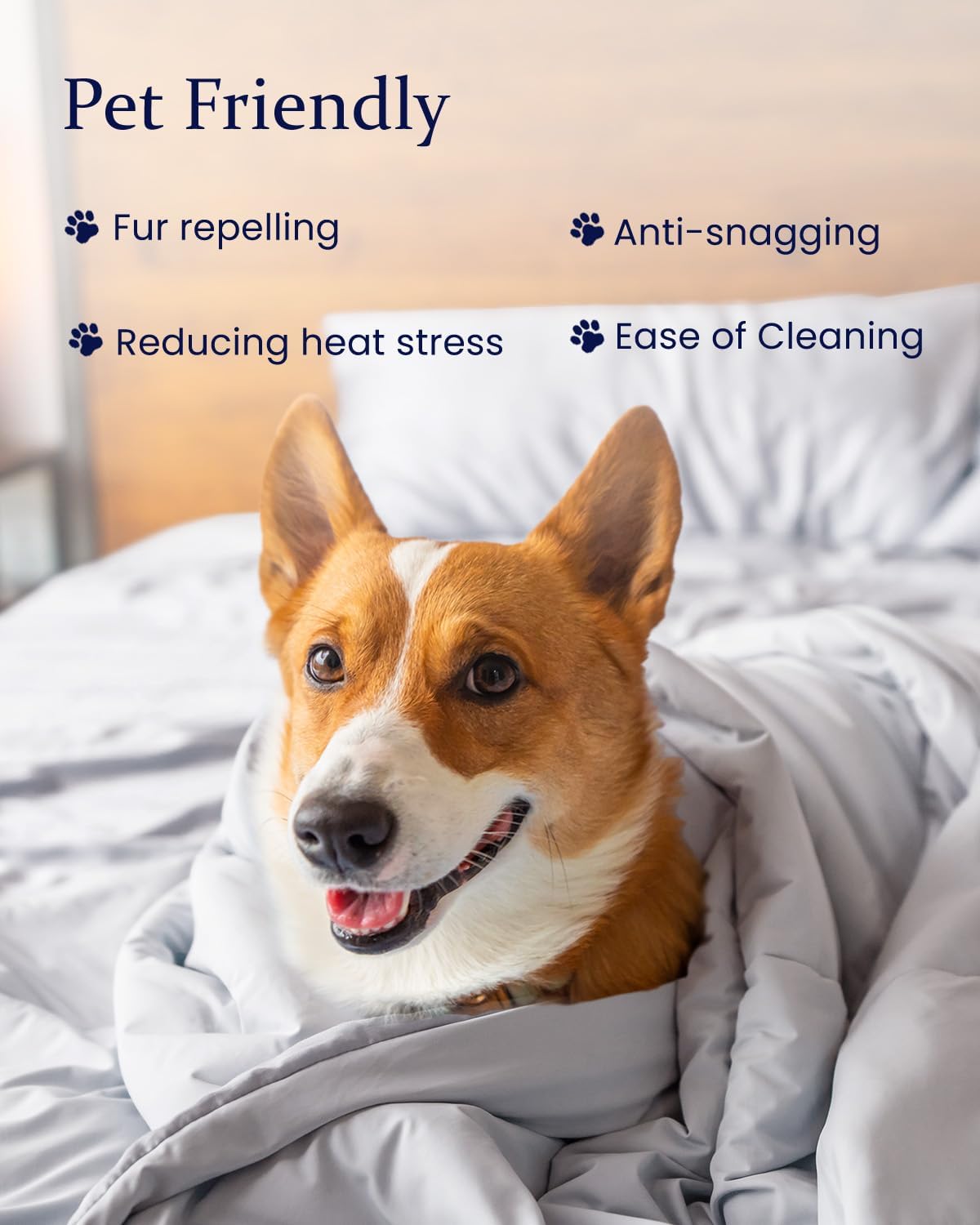 ZonLi ZMagic Cooling Comforter Hypoallergenic Bamboo Viscose Lightweight Breathable Soft Summer Blanket for Hot Sleepers Quickly Cooling Quilt for Night Sweats Iceberg Green Twin 60quotx80quot02  Misty Gray
