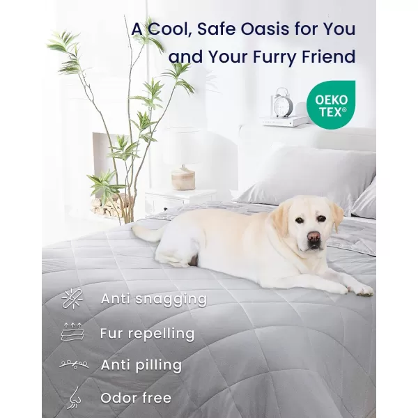 ZonLi Cooling Blanket Twin Size Cooling Blanket with Breathable Fabric Perfect for Hot Sleepers and Night Sweats Ideal for Summer ampamp Warm Climate Light Grey 60quotx80quot