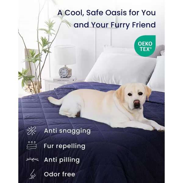 ZonLi Cooling Blankets for Hot SleepersAllSeason Lightweight Blanket for Night SweatsCool Blanket Absorbs Body Heat to Keep CoolQMax 045 Summer Blanket for Bed Sofa CouchDark Purple 50quotx60quot