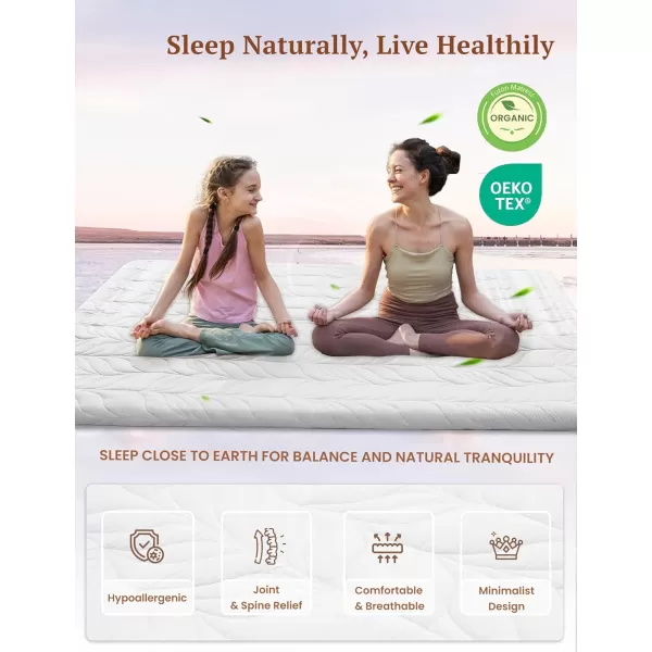ZonLi Japanese Floor Mattress Futon Mattress Full Size Thicken Roll Up Tatami Mat w 100 Cotton Washable Cover Portable ampamp Foldable Floor Bed Mattress for Sleeping Dormitory Adult Kids CoffeeWhite