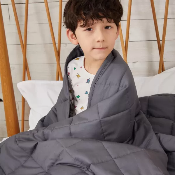ZonLi Weighted Blanket 60x80 20lbs Queen Size Dark Grey for Adults High Breathability Heavy Blanket Soft Material with Premium Glass BeadsDark Grey
