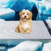 imageZonLi Dog Cooling Mat 20quot x 16quotSmall Waterproof Cooling Pad for Cats ampamp Rabbits Portable ampamp Durable Pet Mat for Crate Trunk Camping Outdoors Machine Washable Ice GreenTidal Blue