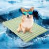 imageZonLi Dog Cooling Mat 20quot x 16quotSmall Waterproof Cooling Pad for Cats ampamp Rabbits Portable ampamp Durable Pet Mat for Crate Trunk Camping Outdoors Machine Washable Ice GreenSage Green