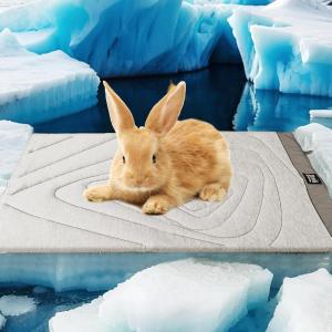 imageZonLi Dog Cooling Mat 20quot x 16quotSmall Waterproof Cooling Pad for Cats ampamp Rabbits Portable ampamp Durable Pet Mat for Crate Trunk Camping Outdoors Machine Washable Ice GreenPebble Grey