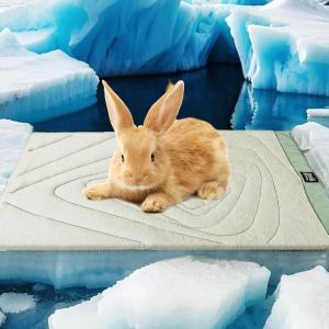 imageZonLi Dog Cooling Mat 20quot x 16quotSmall Waterproof Cooling Pad for Cats ampamp Rabbits Portable ampamp Durable Pet Mat for Crate Trunk Camping Outdoors Machine Washable Ice GreenIce Green