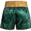 imageVenum Muay Thai Shorts ClassicGreenGoldWhite