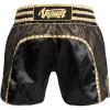 image:imageVenum UnisexAdult Venum Absolute 20 Muay Thai ShortsBlackGold
