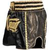 image:imageVenum UnisexAdult Venum Absolute 20 Muay Thai ShortsBlackGold