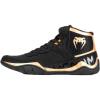 Black/Bronze