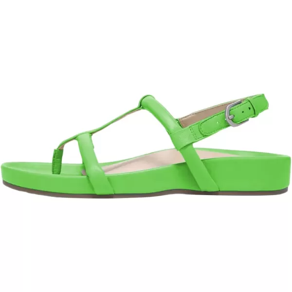 imageFSJ Women Classic Open Toe Thong Sandals Thick Sole Comfy Summer Beach Holiday Casual Walking Flat Shoes Size 415 USGreen