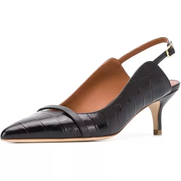 Black-5 Cm