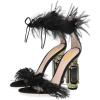 Black Feather