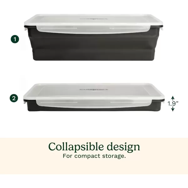 imageCuisinart CMT100 XL Collapsible Marinade Container Black