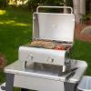 imageCuisinart Chefs Style Tabletop Portable Propane Gas Grill with Dual Burners 20000 BTUs Total Small Grill for Camping ampamp Tailgates Barbecue Grill Stainless SteelProfessional Gas Grill  TwoBurner  Stainless Steel