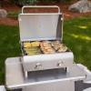 imageCuisinart Chefs Style Tabletop Portable Propane Gas Grill with Dual Burners 20000 BTUs Total Small Grill for Camping ampamp Tailgates Barbecue Grill Stainless SteelProfessional Gas Grill  TwoBurner  Stainless Steel