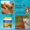imageRachael Ray Dog Wipes  200 CT Pet Wipes for Dogs Dog Grooming Wipes MultiPurpose Deodorizing Dog Cleaning Wipes Quick Easy Use Dog Wipes for Paws and Butt Use as Dog Bath Wipes Puppy Wipes