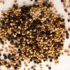 imageRachael Ray Garlic Sea Salt PepperRockin Rainbow Peppercorn