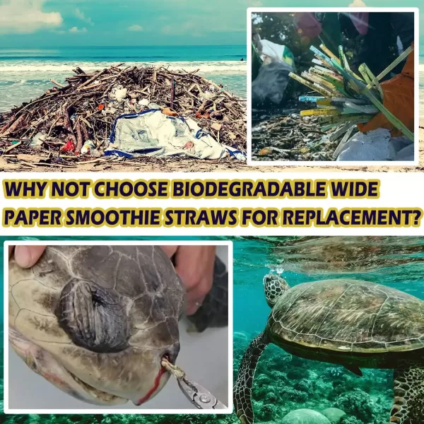 image100 Pack Extra Wide Paper Smoothie Boba Straws  10 mm Wide Biodegradable Straws for Bubble Tea Tapioca Boba Pearls Milkshakes Jumbo Drinks  Shower Wedding Party Supplies Decorations