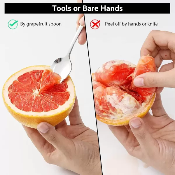imageHiware 4piece Grapefruit Spoons and Grapefruit Knife 188 Stainless Steel
