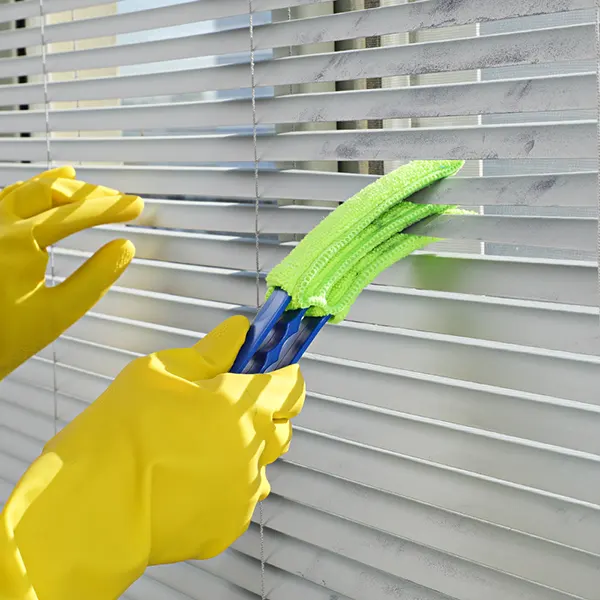 Blind Cleaner Duster Brush