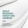 imageNioxin Scalp Recovery Purifying Shampoo  For Dandruff and Itchy Scalp With Pyrithione Zinc and Green Tea ExtractsShampoo  67 fl oz