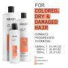 imageNioxin System 4 Scalp  Hair Thickening Shampoo For Colored Dry ampamp Damaged Hair with Progressed Thinning Maintain Vibrant Color Nourish ampamp Boost Hair Density with Niacinamide ampamp BiotinShampoo