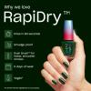 imageOPI RapiDry Quick Dry Nail Polish Colors  Opaque Crme ampamp Shimmer Winter Shades  Smudge Proof and Fast Drying in 60 Seconds  Vegan Formula  Snow Time to Waste  Holiday 2025Fir Surely Fast  Opaque Dark Cool Forest Green