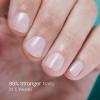 imageOPI Nail Envy 05 fl oz and OPI Start to Finish 3in1 Treatment Base Coat Top Coat Nail Strengthener 05 fl oz