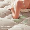 imageBEDLORE Twin Mattress Topper Viscose Derived from Bamboo Thick Pillow Top Mattress Pad with Stretchable Pockets for 615 inches Mattress Soft Breathable Mattress Topper for Back Pain ReliefBeige