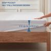 imageBEDLORE Waterproof Mattress Protector Noiseless Queen Size Mattress Pad with Deep Pocket Fitted Up to 6quot18quot Soft Breathable DirtProof Bed Mattress Cover Washable Bedroom Hotel GrayWhite