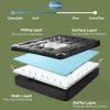 imageBEDLORE Queen Mattress Topper4 Inch Dual Layer 2quot Gel Memory Foam  2quot Plush Pillow Top Mattress Pad Cover Pressure Relief ampamp Back Pain Support Fluffy ampamp Breathable MediumFirmDark Gray
