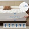 imageBEDLORE Queen Mattress Topper Viscose Made from Bamboo Soft Pillow Top Mattress Pad Thick Mattress Cover for Back Pain Relief with 618 inches Deep PocketWhite