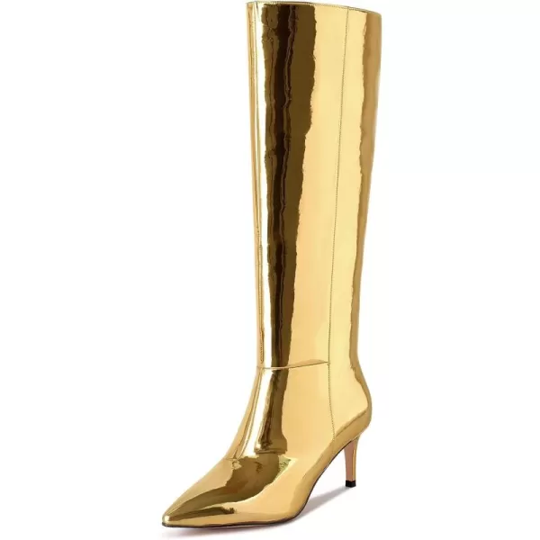 wetkiss Knee High Boots for Women, with Stiletto Heel and Pointed Toe Design, Classic and Sexy