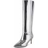 imagewetkiss Knee High Boots for Women with Kitten Heel and Pointed Toe Design Classic and SexyMirrorsilver