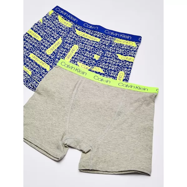 Calvin Klein Boys 2 Pack Boxer Briefs  Premium Cotton ComfortBlue Statement Print Heather Grey