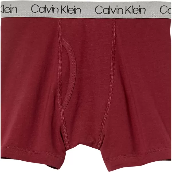 Calvin Klein Boys 2 Pack Boxer Briefs  Premium Cotton ComfortOlivine Outline CamoZinfandel