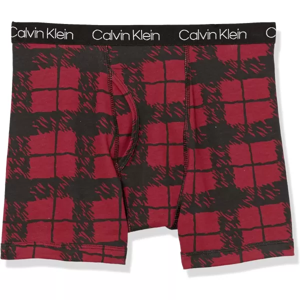 Calvin Klein Boys 2 Pack Boxer Briefs  Premium Cotton ComfortRhubpldBlack