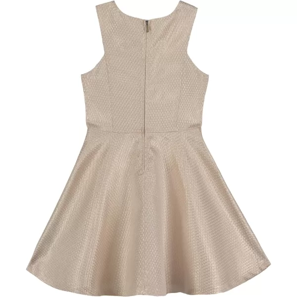 Calvin Klein Girls Sleeveless Party Dress Fit and Flare Silhouette Round Neckline amp Back Zip ClosureGold Metallic