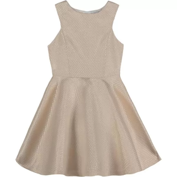 Calvin Klein Girls Sleeveless Party Dress Fit and Flare Silhouette Round Neckline amp Back Zip ClosureGold Metallic