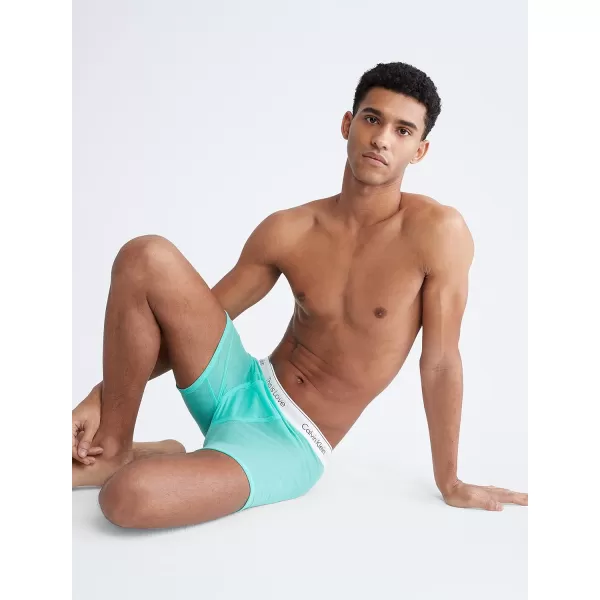 Calvin Klein Mens This is Love Pride Mesh UnderwearBOXER BRIEF Aqua Green