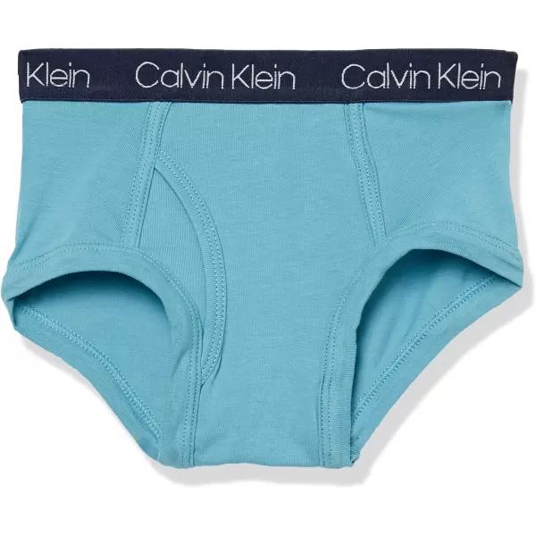 Calvin Klein Boys Little Modern Cotton Assorted Briefs Underwear 3 Pack3 Pack  Heather Grey Classic White Black