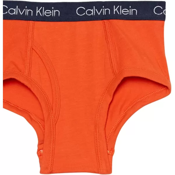 Calvin Klein Boys Little Modern Cotton Assorted Briefs Underwear 3 Pack3 Pack  Heather GreySignature WhiteLight Blue
