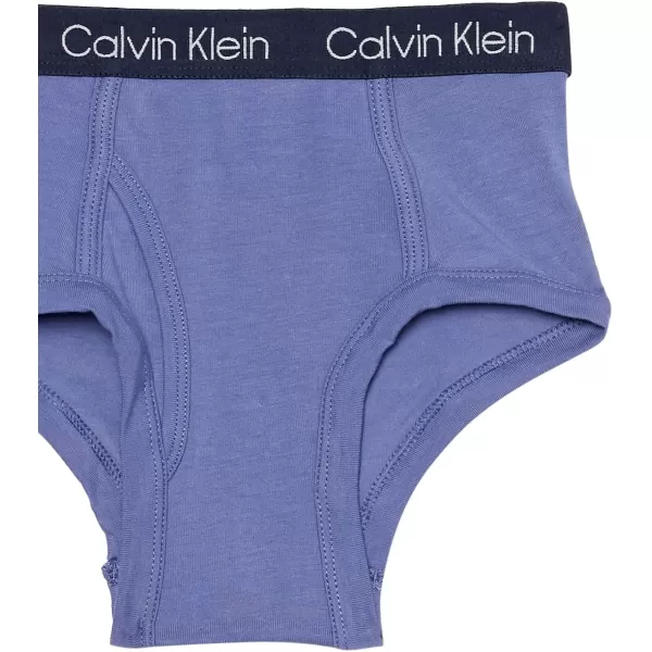 Calvin Klein Boys Little Modern Cotton Assorted Briefs Underwear 3 Pack3 Pack  Heather GreySignature WhiteLight Blue