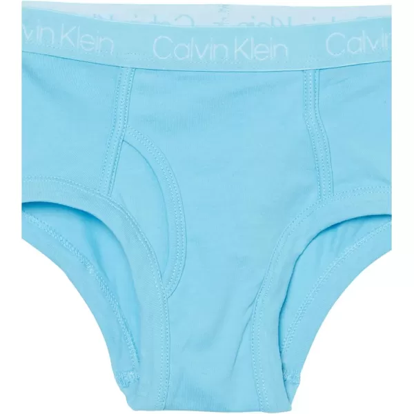 Calvin Klein Boys Little Modern Cotton Assorted Briefs Underwear 3 Pack3 Pack WhiteHeather Grey Empryean Blue