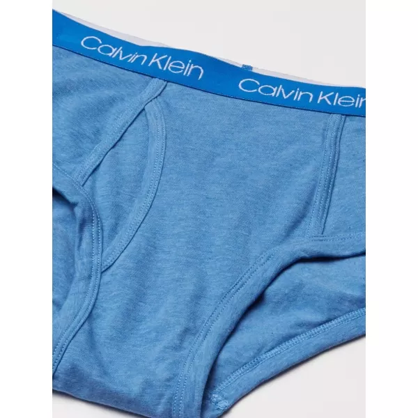 Calvin Klein Boys Little Modern Cotton Assorted Briefs Underwear 3 PackBlack Iris  Blue Heather