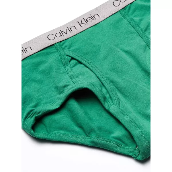 Calvin Klein Boys Little Modern Cotton Assorted Briefs Underwear 3 PackBlack Iris  Blue Heather