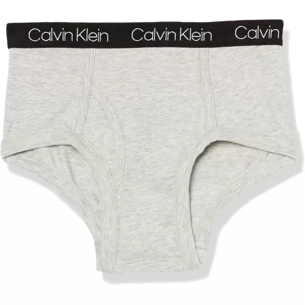 Calvin Klein Boys Little Modern Cotton Assorted Briefs Underwear 3 PackBlack Iris Victoria Blue Blue Heather Rugby