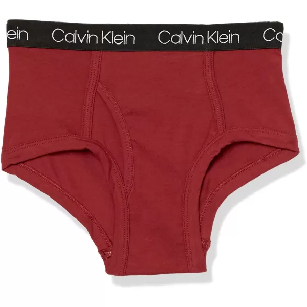 Calvin Klein Boys Little Modern Cotton Assorted Briefs Underwear 3 PackBlack Iris Victoria Blue Blue Heather Rugby