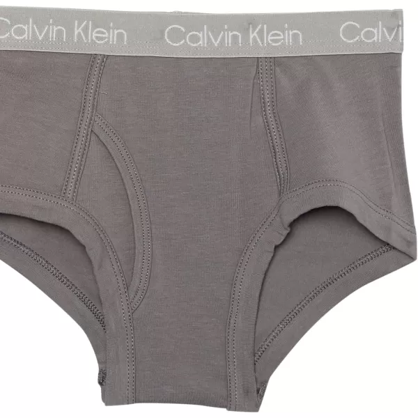 Calvin Klein Boys Little Modern Cotton Assorted Briefs Underwear 3 PackBlackHeather GreyEmber Blaze