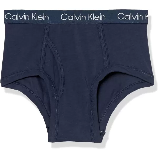 Calvin Klein Boys Little Modern Cotton Assorted Briefs Underwear 3 PackCamostripe Pk